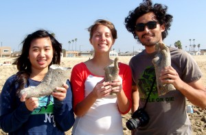3 CSULB students holding up plaster casts made of their hand or foot